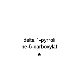 delta 1-pyrroline-5-carboxylate